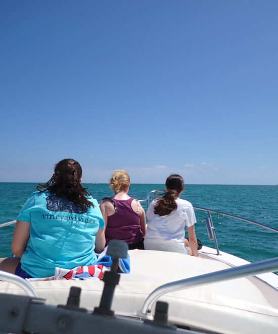 Starliner Dream Tours (16)