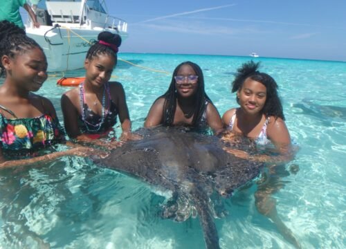 Private charter to Stingray City