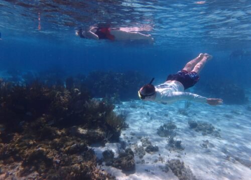 Cayman Islands private tours