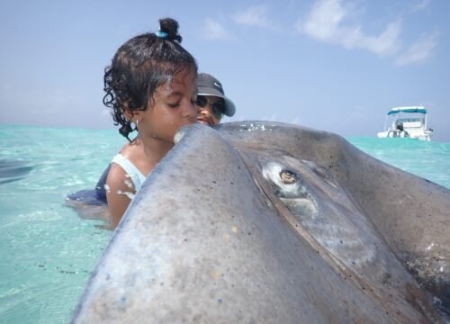 Cayman Islands private tours