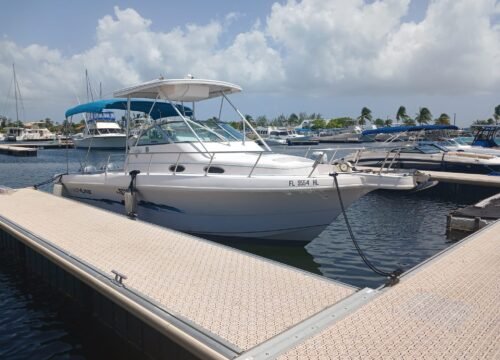 Scenic Cayman boat ride