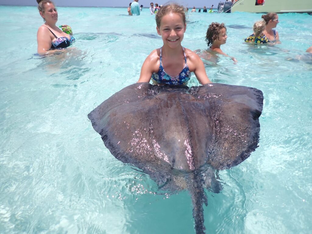 swim with Stingray cayman