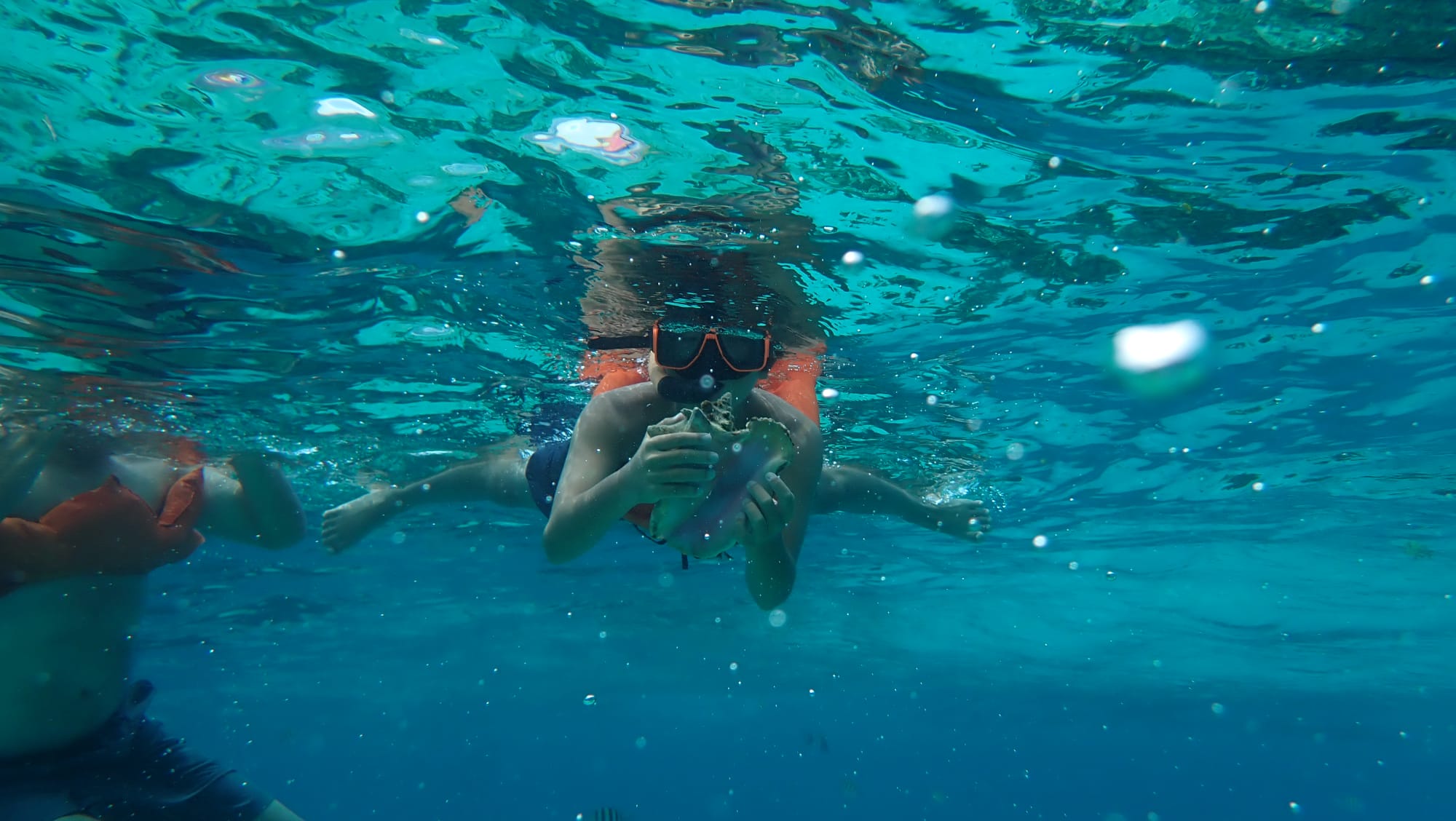 Safe Snorkel Tours For Kids
