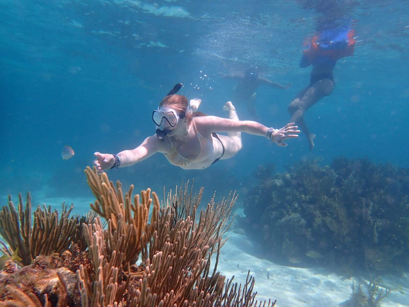Grand Cayman Is Perfect for Water Sports