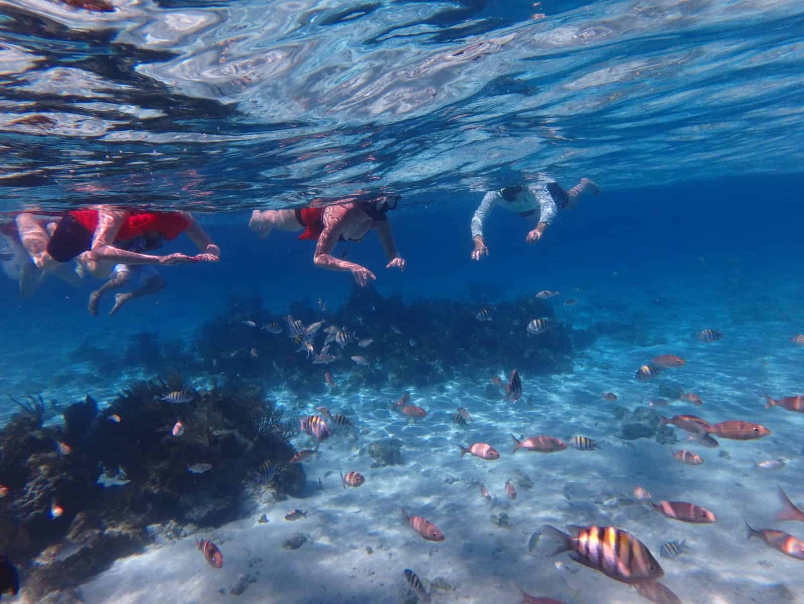 Getting to Starfish Point Beach