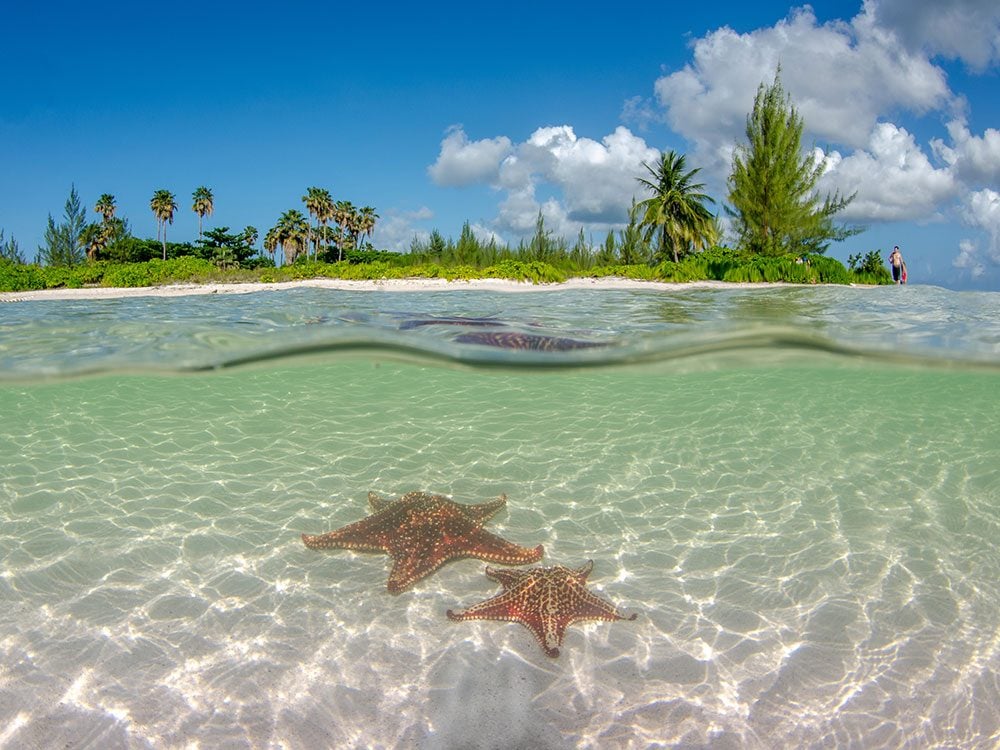 Kid-friendly Boat Tour Cayman