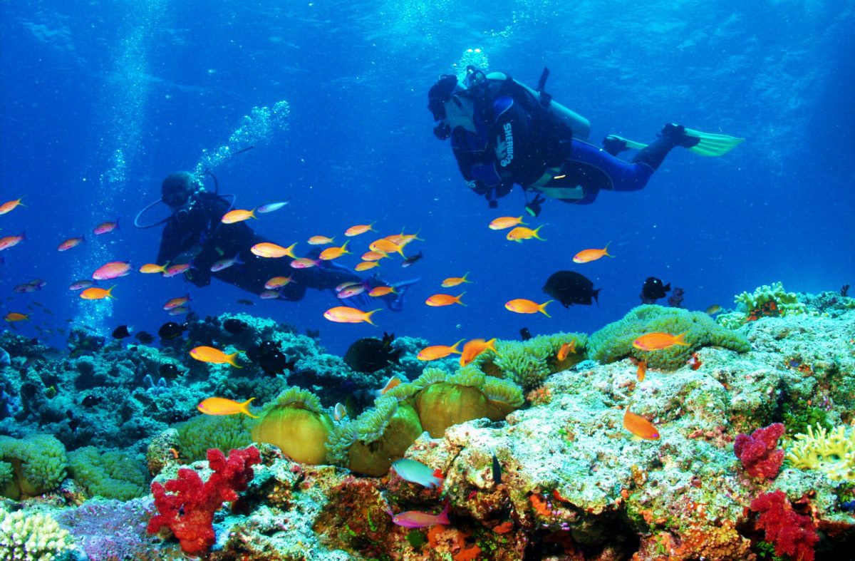 small group boat charter by Starliner Dream Tours